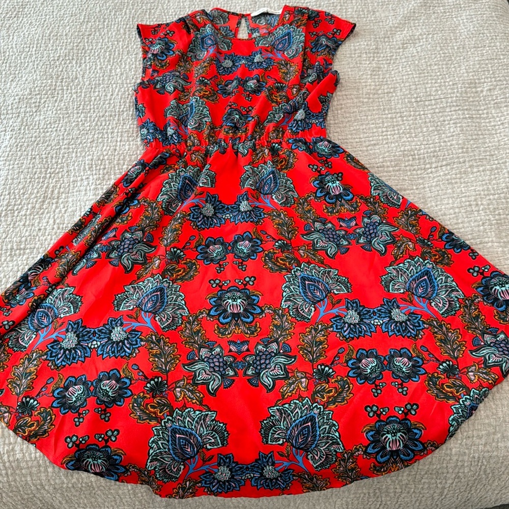 Collective Concepts size small.